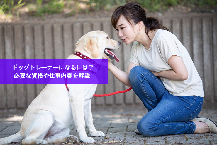 ドッグトレーナーになるには?必要な資格や仕事内容を解説