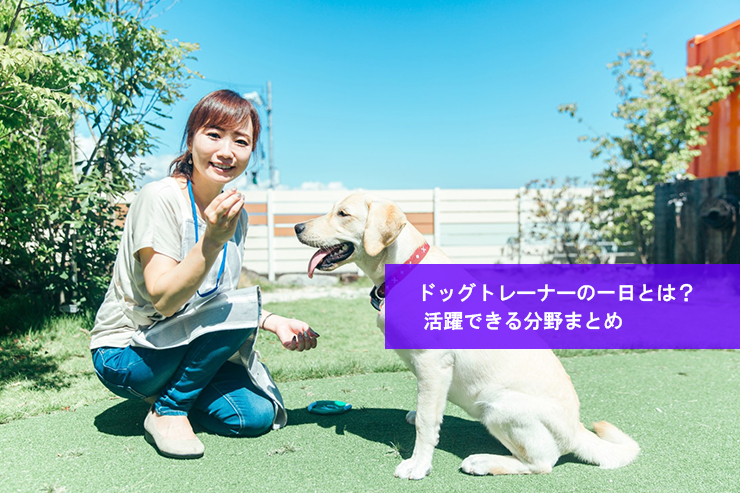 ドッグトレーナーの一日とは?活躍できる分野まとめ