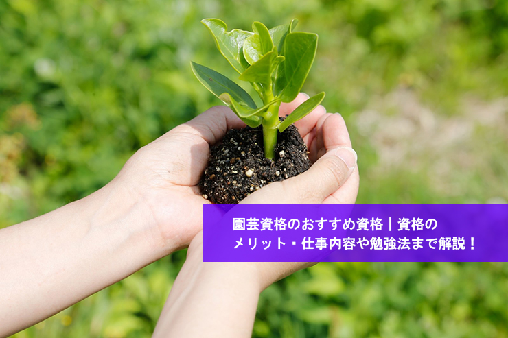 園芸インストラクターになるためには?必要な資格や仕事内容を紹介