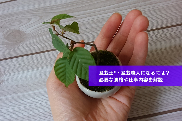 盆栽士®・盆栽職人になるには?必要な資格や仕事内容を解説