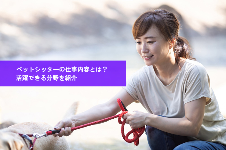 ペットシッターの仕事内容とは?活躍できる分野を紹介