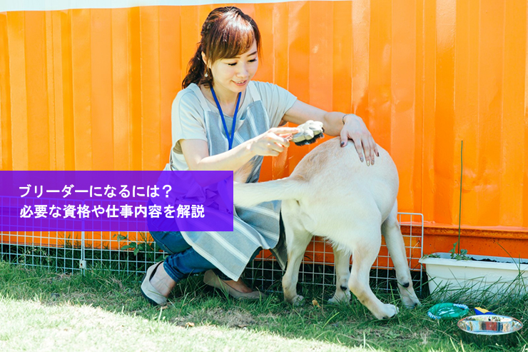ブリーダーになるには?必要な資格や仕事内容を解説