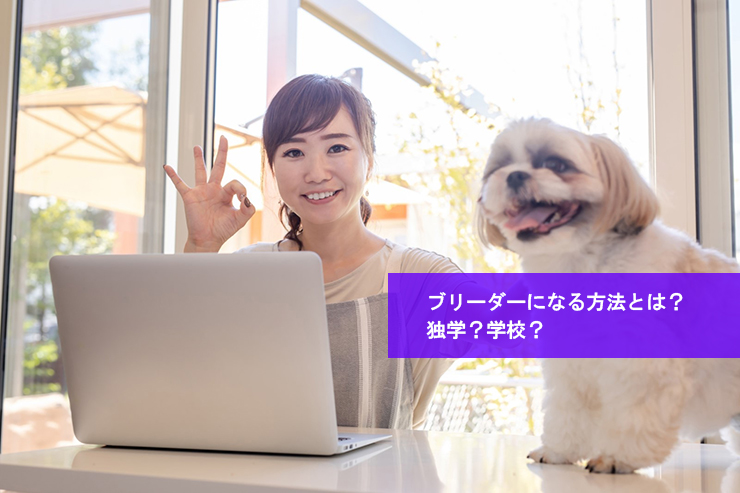 ブリーダーになる方法とは?独学?学校?