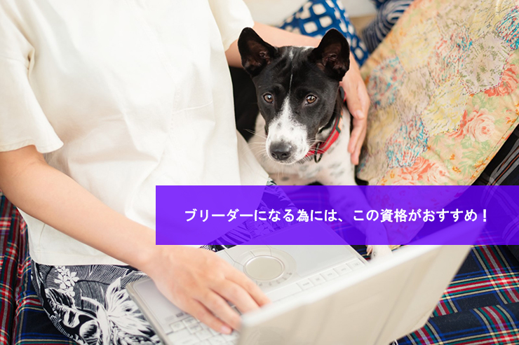 ブリーダーになる為には、この資格がおすすめ!