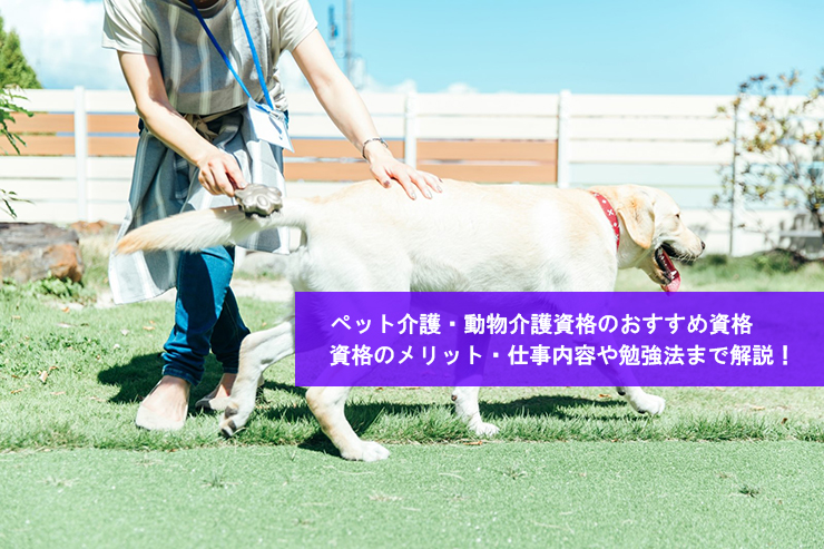 ペット介護士になるには?必要な資格や仕事内容を解説