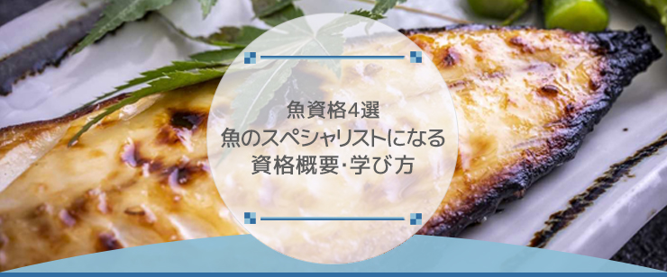 魚資格4選|魚のスペシャリストになる資格概要・学び方