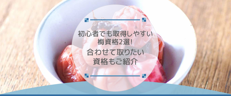 初心者でも取得しやすい梅資格2選!合わせて取りたい資格もご紹介