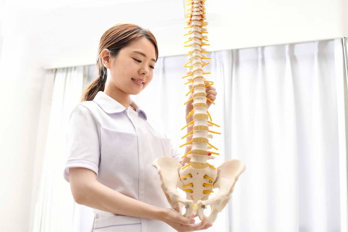 整体師になるための勉強方法|必要な知識や技術、おすすめの資格など詳しく解説