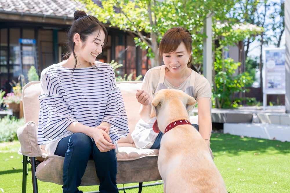 犬に教えるコマンドとは？基本や教え方を徹底紹介
