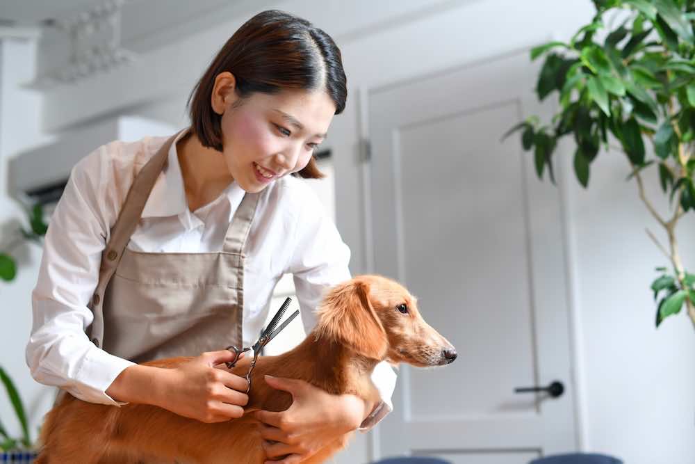 トリミングシザーの種類とは？特徴や選び方・メンテナンス方法を解説