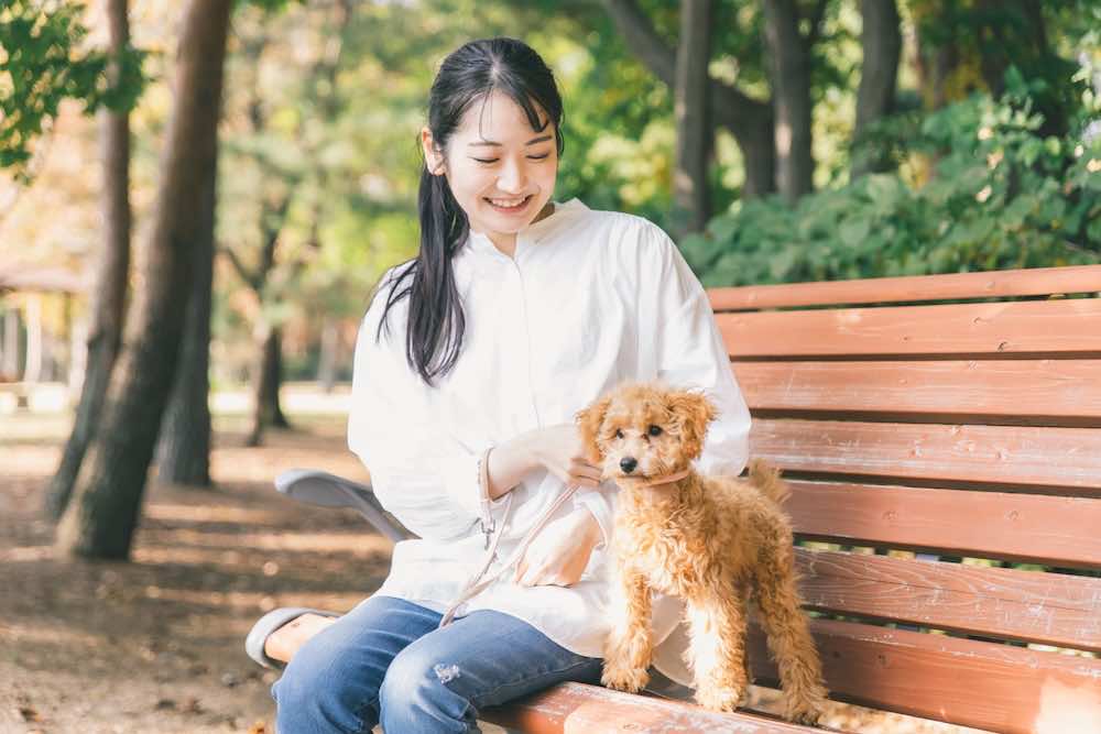 ペットシッターの給料とは?開業方法や初期費用・開業のメリットとデメリットを解説