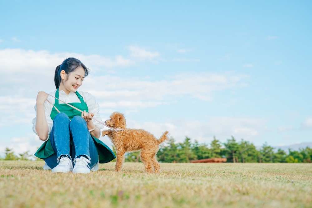 ペットシッターとして開業するには?運営方法・必要な備品と設備を解説