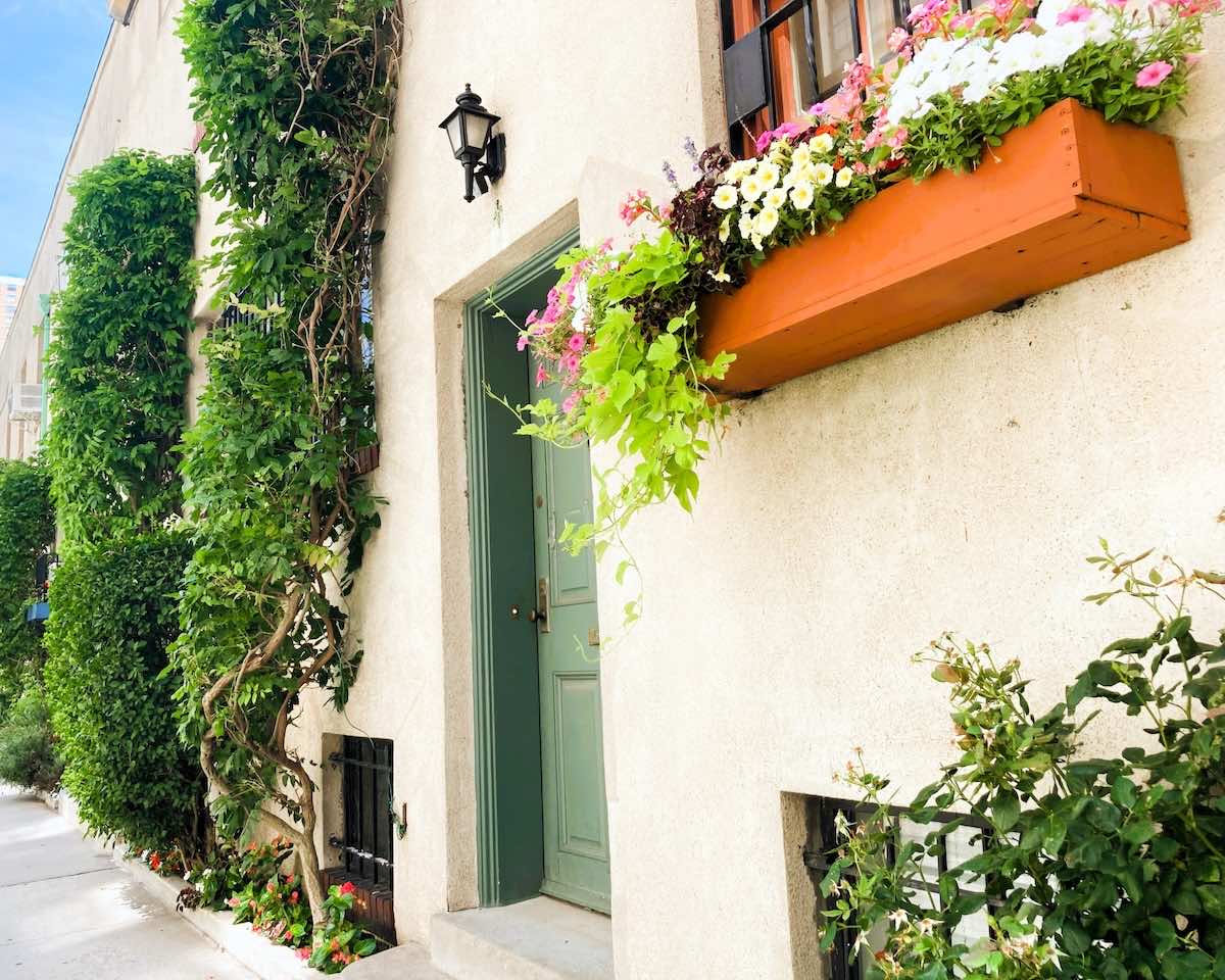 プランターで野菜を作ろう！初心者でも育てやすい野菜とは？