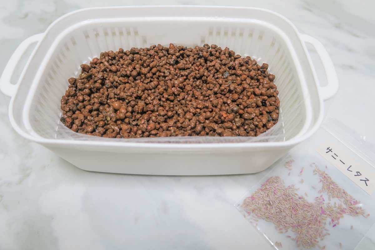 水耕栽培に必要な道具は?100均のおすすめグッズも紹介!