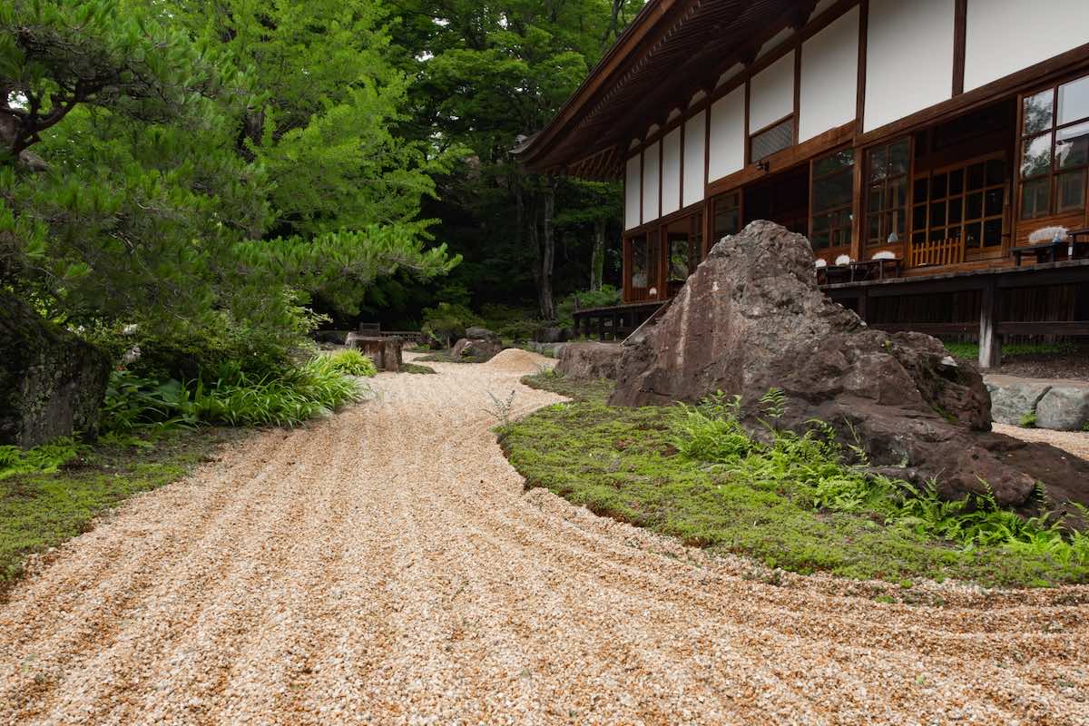 華道の流派とは？それぞれの違いや特徴、選び方を解説！