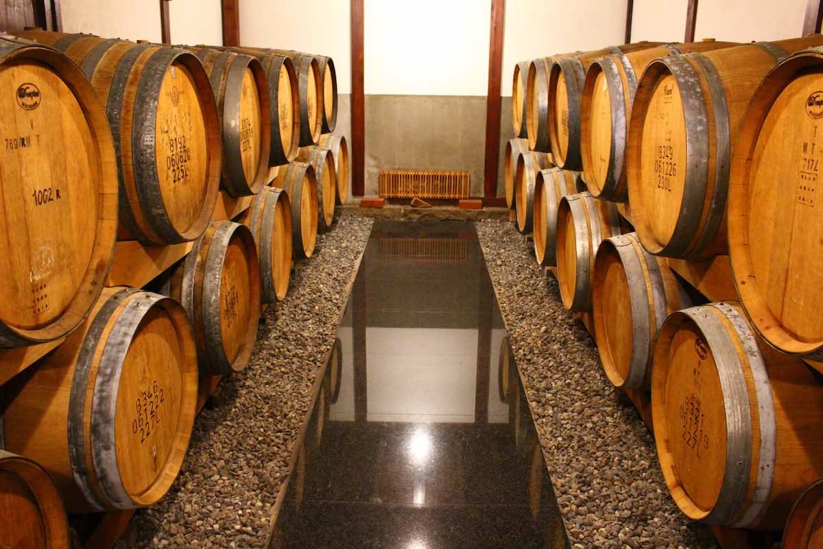 発酵と熟成とは？腐敗との違いについて解説