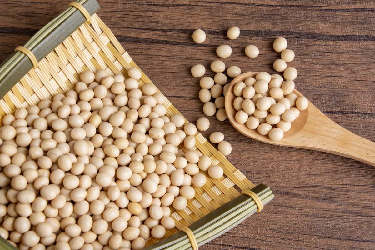 発酵の謎解き：味噌の美味しさと健康効果を支える微生物の役割