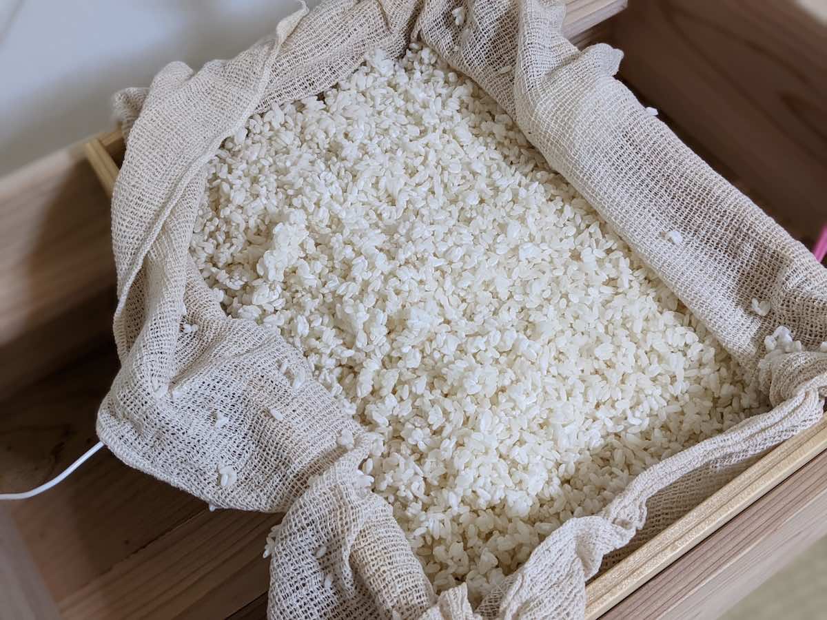 発酵食品でおこなう菌活とは？菌活の効果的な摂取法と注意点