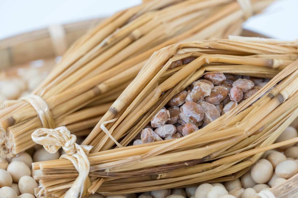 発酵食品と微生物の関係：美味しさの裏に潜む微生物の力